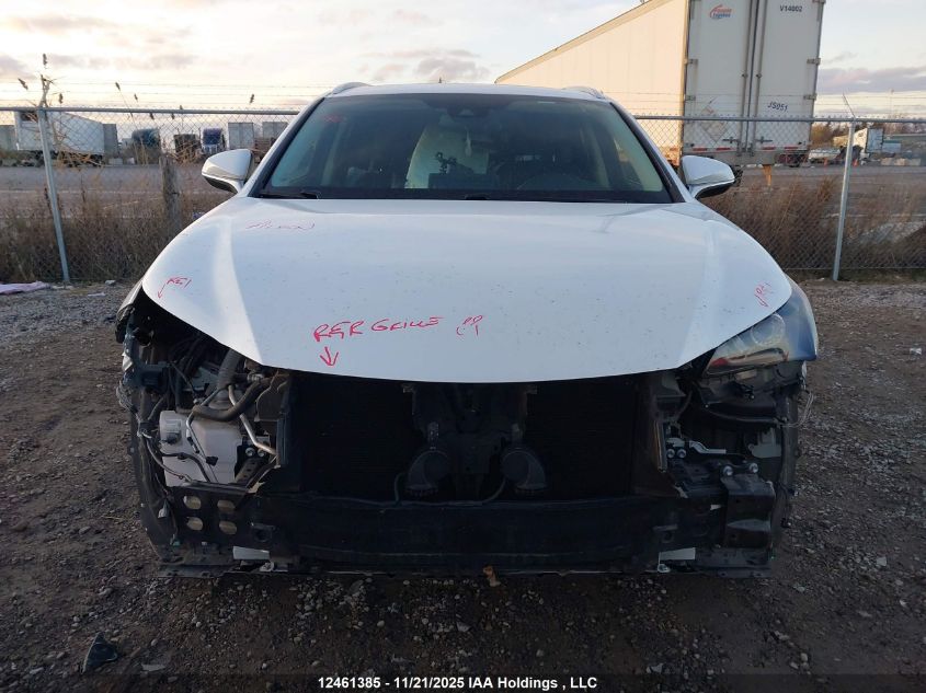 2020 Lexus Nx 300 VIN: JTJGARDZXL5000584 Lot: 12461385