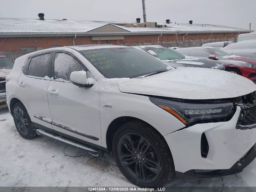 2024 Acura Rdx VIN: 5J8TC2H62RL800675 Lot: 12461504