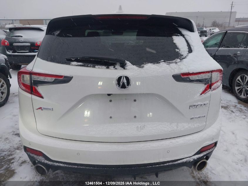 2024 Acura Rdx VIN: 5J8TC2H62RL800675 Lot: 12461504