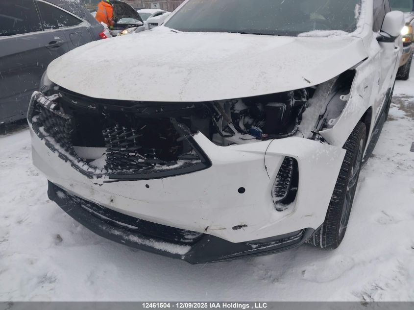 2024 Acura Rdx VIN: 5J8TC2H62RL800675 Lot: 12461504