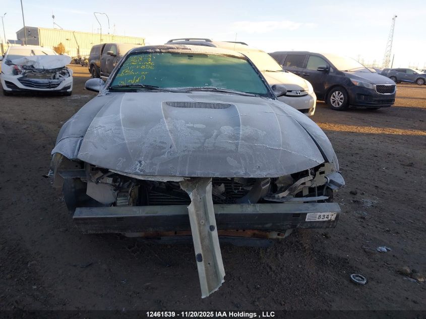 2001 Ford Mustang VIN: 1FAFP40441F188896 Lot: 12461539