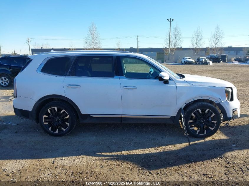 2024 Kia Telluride Sx/Sx X-Line/Sx X-Pro/Sx Prestige/Sx Prest X-Ln/Sx Prest X-Pro VIN: 5XYP5DGC5RG417032 Lot: 12461568