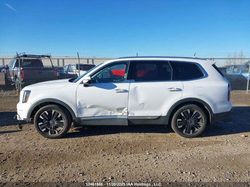 2024 Kia Telluride Sx/Sx X-Line/Sx X-Pro/Sx Prestige/Sx Prest X-Ln/Sx Prest X-Pro VIN: 5XYP5DGC5RG417032 Lot: 12461568