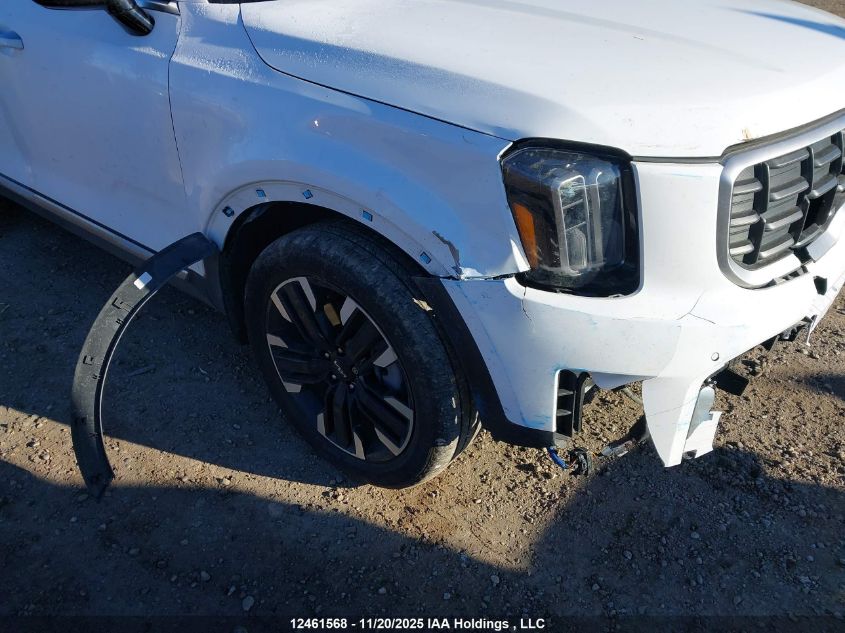 2024 Kia Telluride Sx/Sx X-Line/Sx X-Pro/Sx Prestige/Sx Prest X-Ln/Sx Prest X-Pro VIN: 5XYP5DGC5RG417032 Lot: 12461568