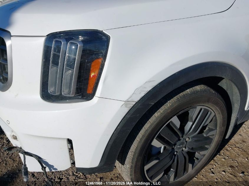2024 Kia Telluride Sx/Sx X-Line/Sx X-Pro/Sx Prestige/Sx Prest X-Ln/Sx Prest X-Pro VIN: 5XYP5DGC5RG417032 Lot: 12461568