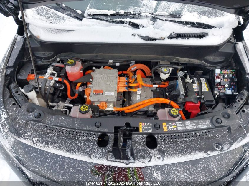 2023 Chevrolet Bolt Euv VIN: 1G1FY6S06P4190000 Lot: 12461621