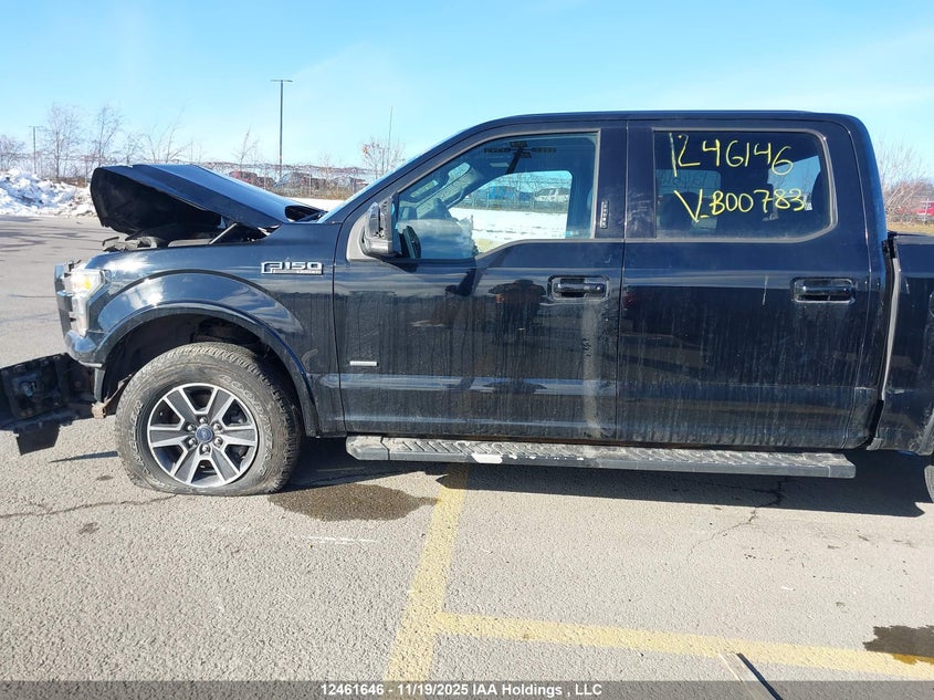 1FTEW1EP7HFB00783 2017 FORD F-150 photo no. 14