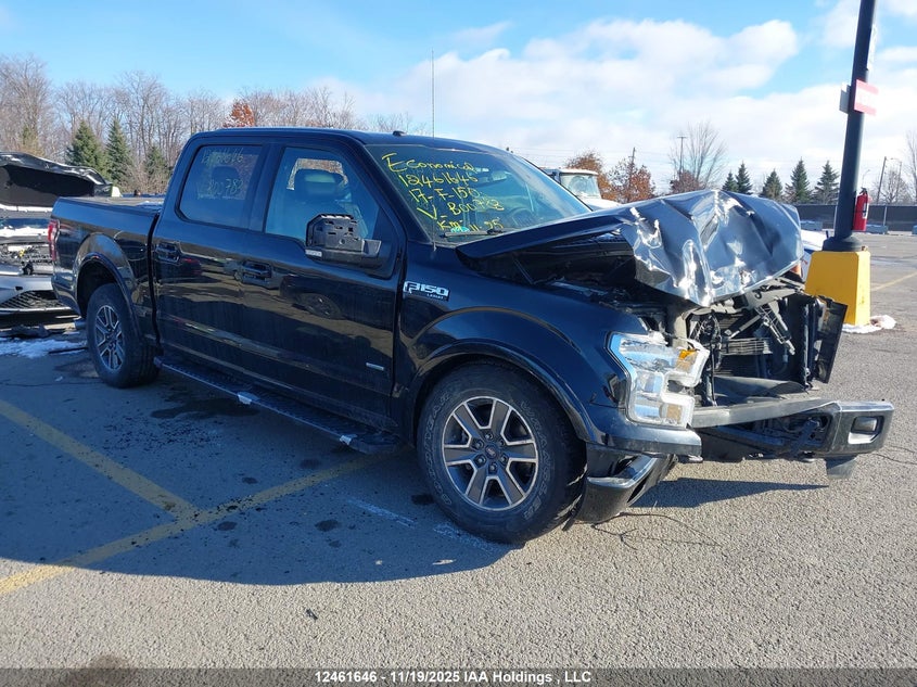 1FTEW1EP7HFB00783 2017 FORD F-150 photo no. 11