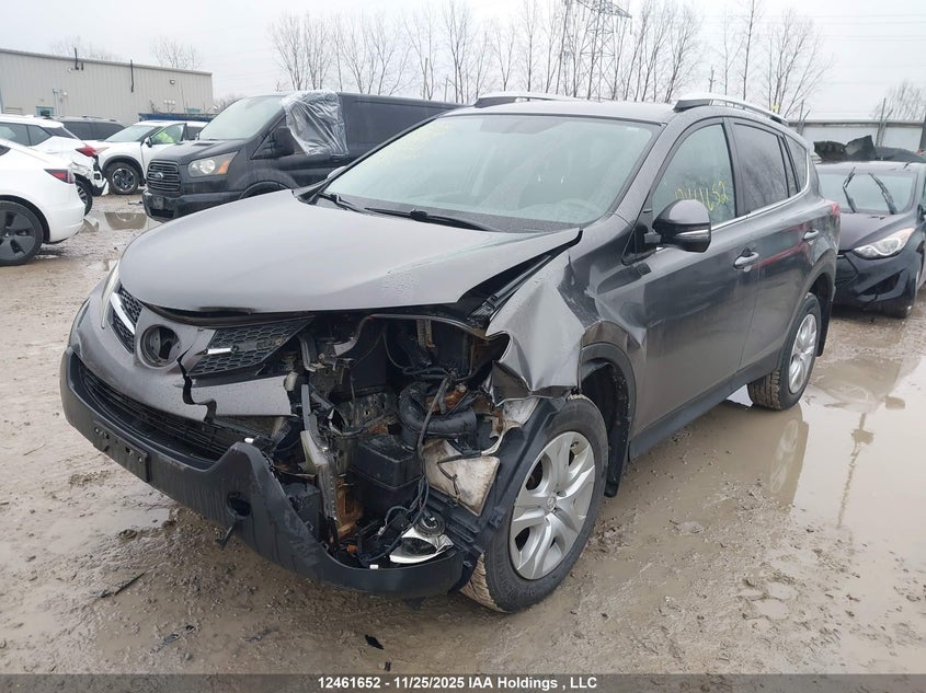 2015 Toyota Rav4 VIN: 2T3BFREV8FW230311 Lot: 12461652