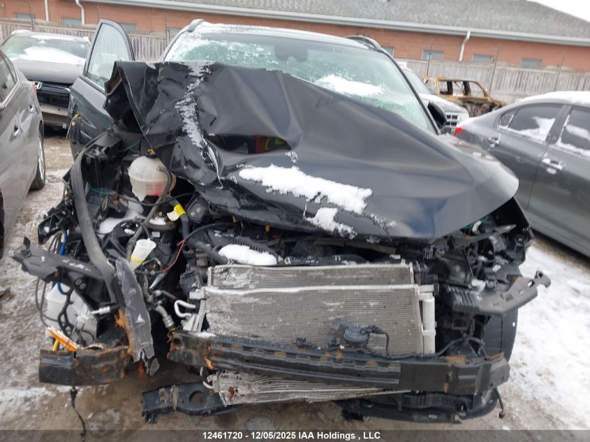 2021 Hyundai Tucson VIN: KM8J3CA43MU335939 Lot: 12461720