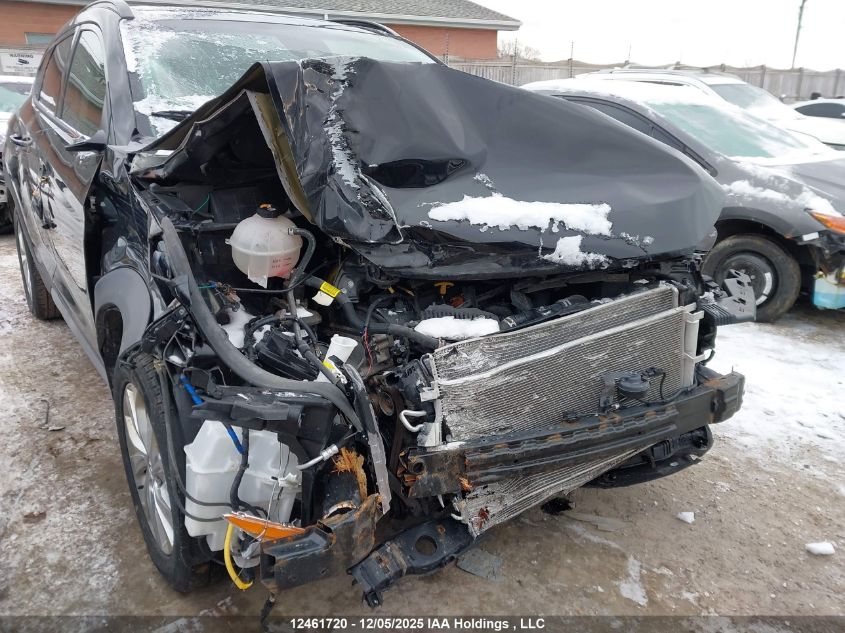 2021 Hyundai Tucson VIN: KM8J3CA43MU335939 Lot: 12461720