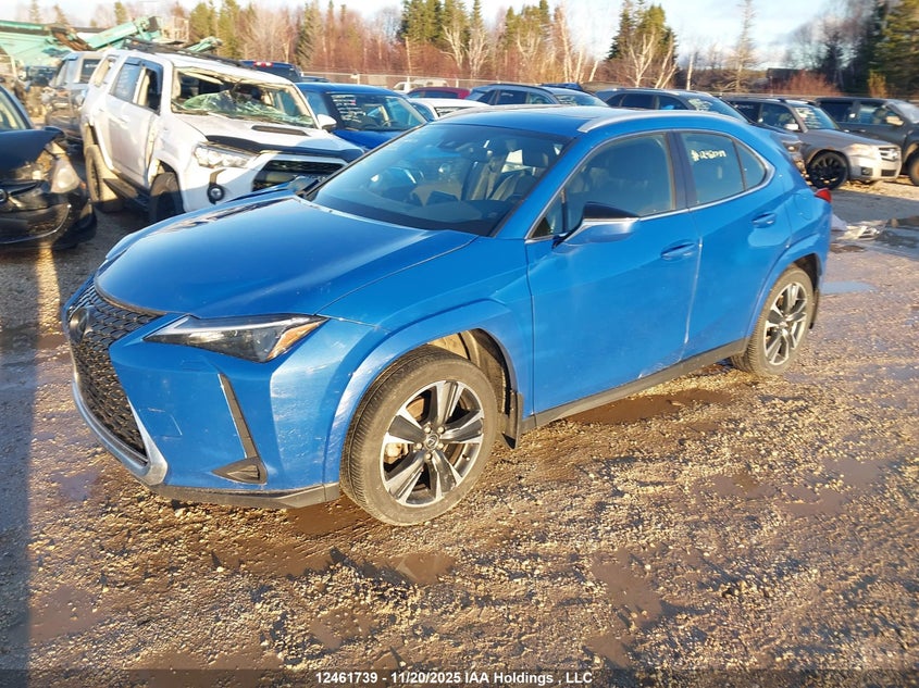 JTHP9JBH9R2072652 2024 LEXUS UX photo no. 2
