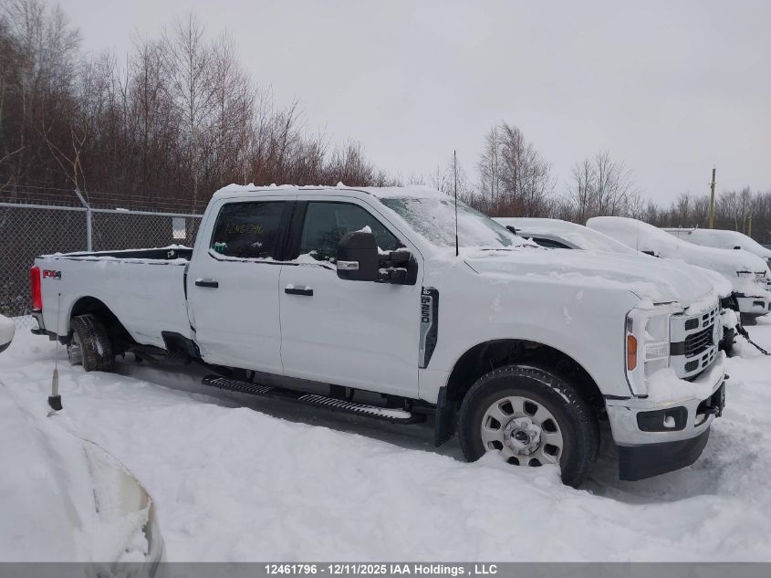 2024 Ford F250 Super Duty VIN: 1FT7W2BN4RED31195 Lot: 12461796