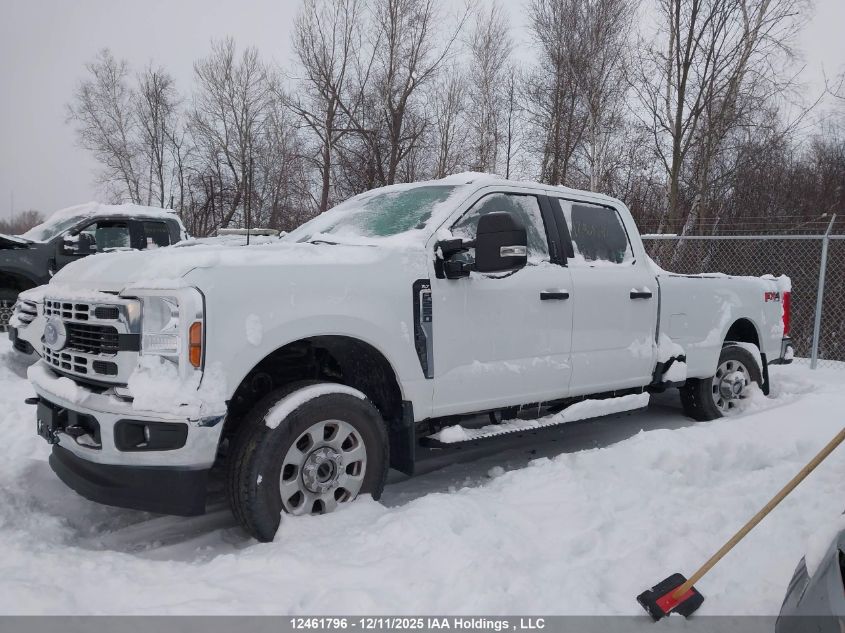 2024 Ford F250 Super Duty VIN: 1FT7W2BN4RED31195 Lot: 12461796
