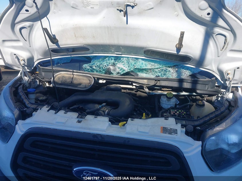 2019 Ford Transit T-250 VIN: 1FTYR2CM2KKA64471 Lot: 12461797