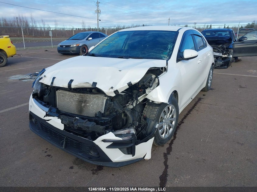 2021 Kia Forte Fe/Lxs VIN: 3KPF24AD1ME301340 Lot: 12461854