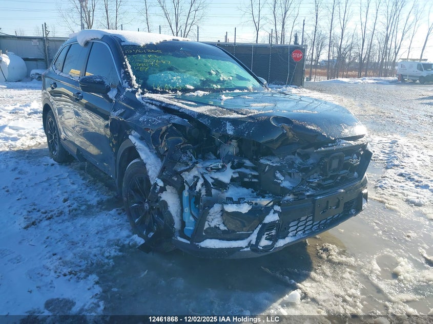 2HKRS6H7XSH207667 2025 HONDA CR-V photo no. 6