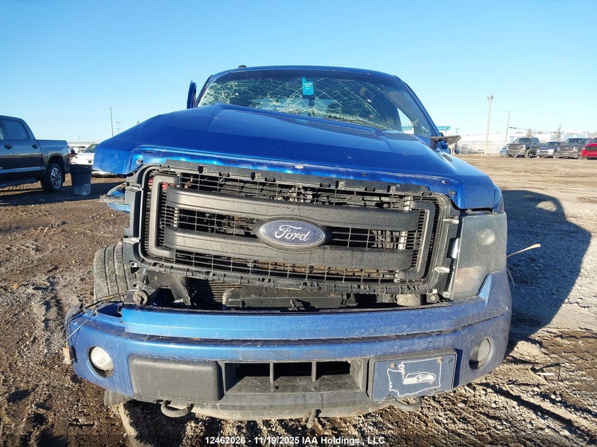1FTFW1ET8EFA20258 2014 FORD F-150 photo no. 12
