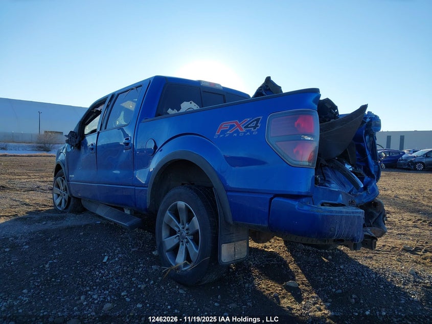 1FTFW1ET8EFA20258 2014 FORD F-150 photo no. 3