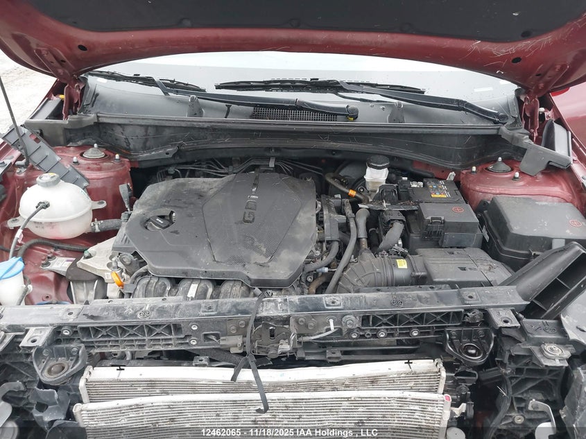 2024 Kia Sportage Lx VIN: KNDPUCDF2R7297960 Lot: 12462065