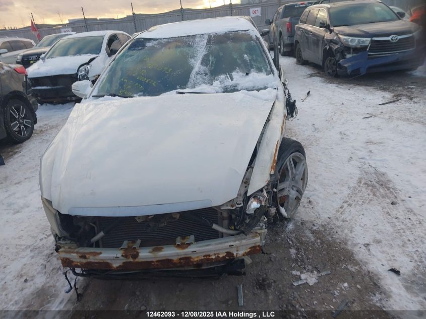 2007 Acura Tl VIN: 19UUA66217A800872 Lot: 12462093