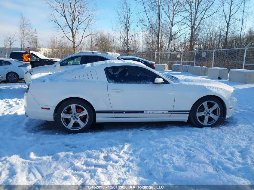 2012 Ford Mustang V6 Premium VIN: 1ZVBP8AM7C5226741 Lot: 12462095