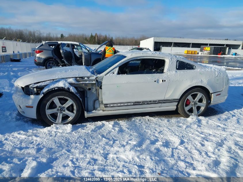 2012 Ford Mustang V6 Premium VIN: 1ZVBP8AM7C5226741 Lot: 12462095