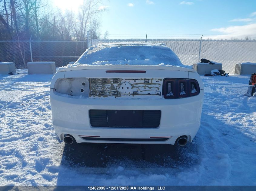 2012 Ford Mustang V6 Premium VIN: 1ZVBP8AM7C5226741 Lot: 12462095