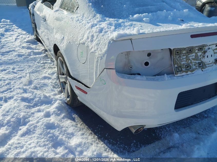 2012 Ford Mustang V6 Premium VIN: 1ZVBP8AM7C5226741 Lot: 12462095