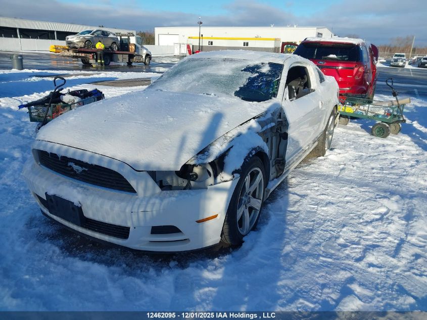 2012 Ford Mustang V6 Premium VIN: 1ZVBP8AM7C5226741 Lot: 12462095