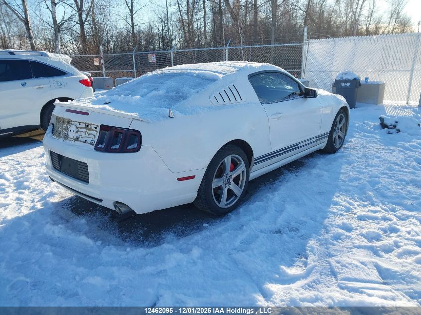 2012 Ford Mustang V6 Premium VIN: 1ZVBP8AM7C5226741 Lot: 12462095
