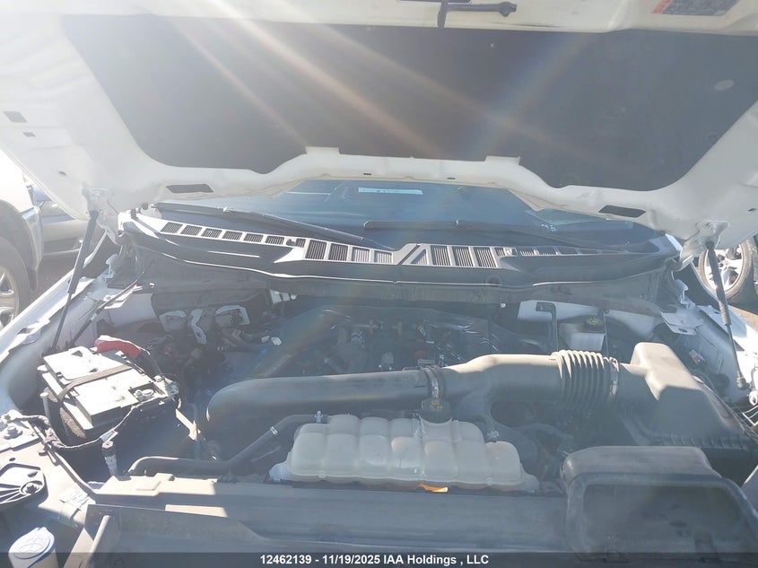 1FTFW3L88RKD29154 2024 FORD F-150 photo no. 10