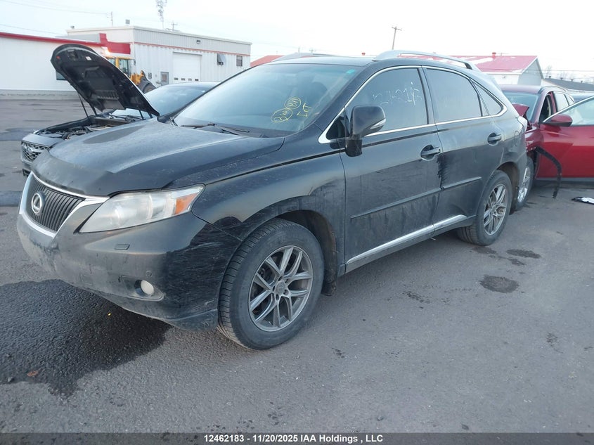 2T2BK1BA6BC084117 2011 LEXUS RX photo no. 2