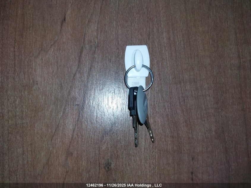 1UJBJ0BM5H1JL0433 2017   photo no. 11
