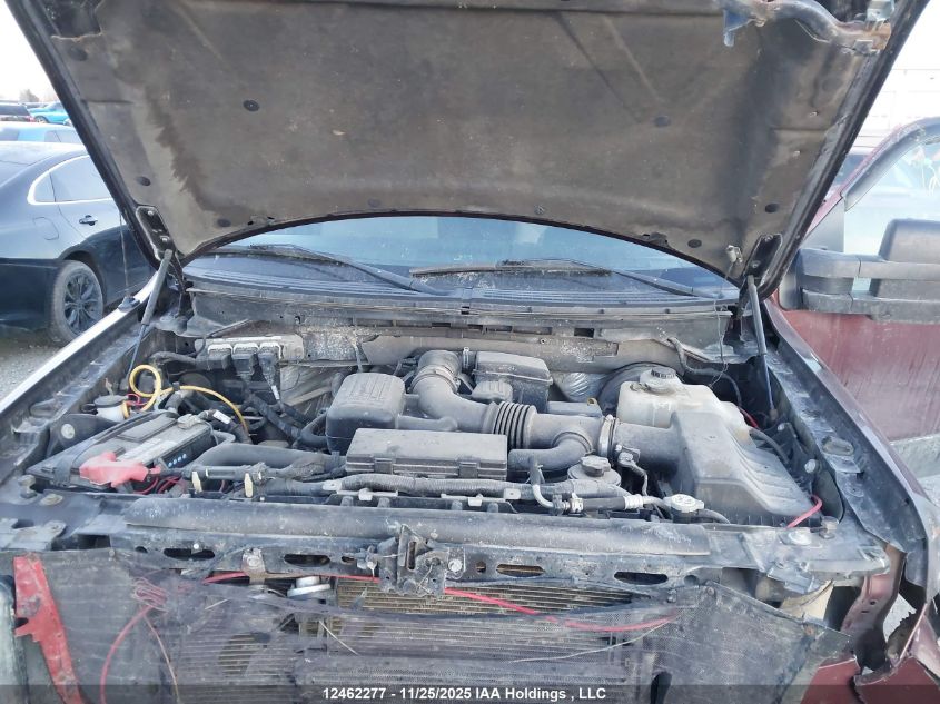 2009 Ford F-150 Lariat/Xl/Xlt VIN: 1FTPX14V99FB33209 Lot: 12462277