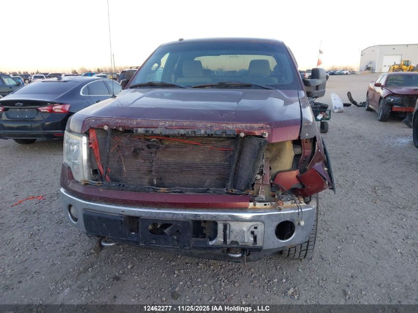 2009 Ford F-150 Lariat/Xl/Xlt VIN: 1FTPX14V99FB33209 Lot: 12462277