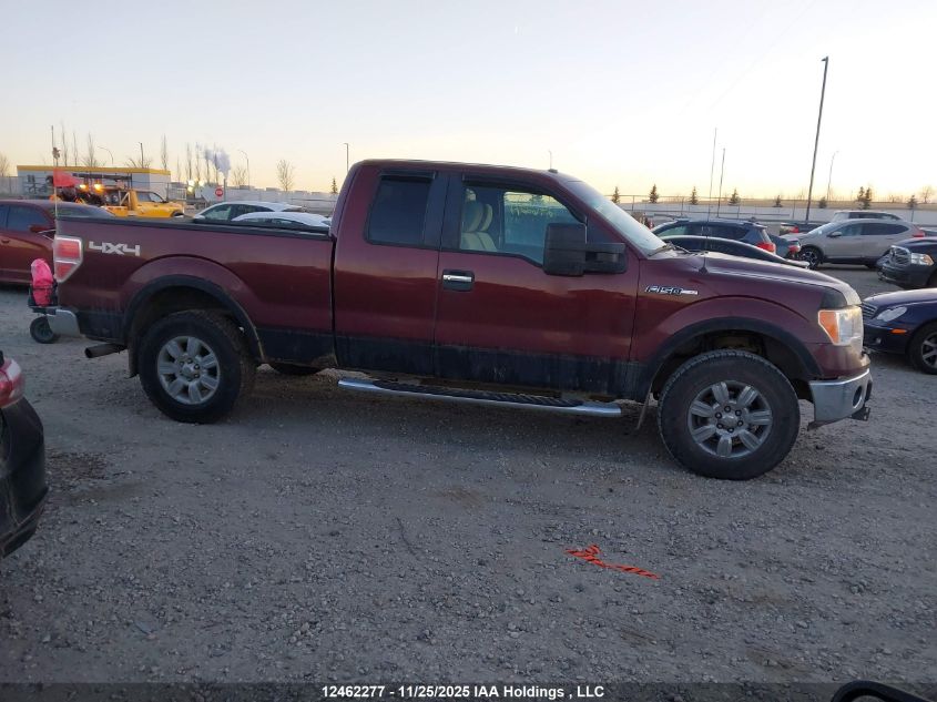 2009 Ford F-150 Lariat/Xl/Xlt VIN: 1FTPX14V99FB33209 Lot: 12462277
