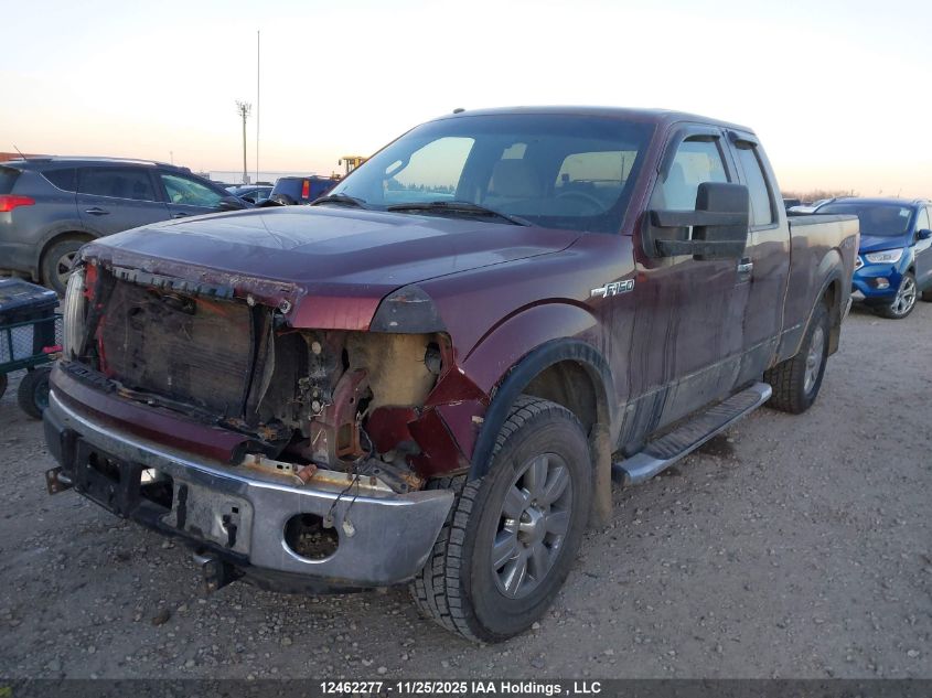 2009 Ford F-150 Lariat/Xl/Xlt VIN: 1FTPX14V99FB33209 Lot: 12462277