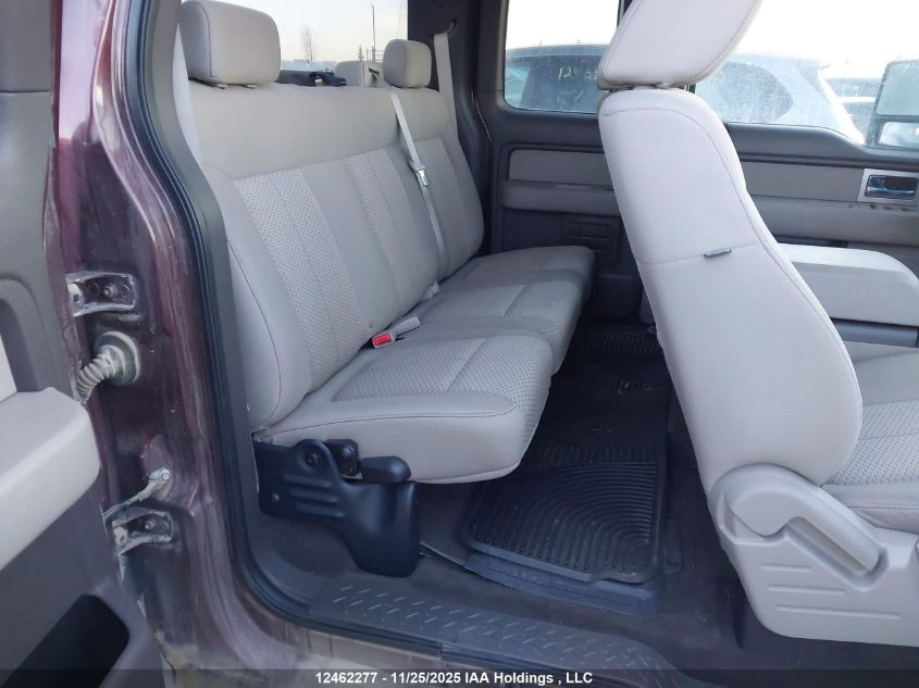 2009 Ford F-150 Lariat/Xl/Xlt VIN: 1FTPX14V99FB33209 Lot: 12462277