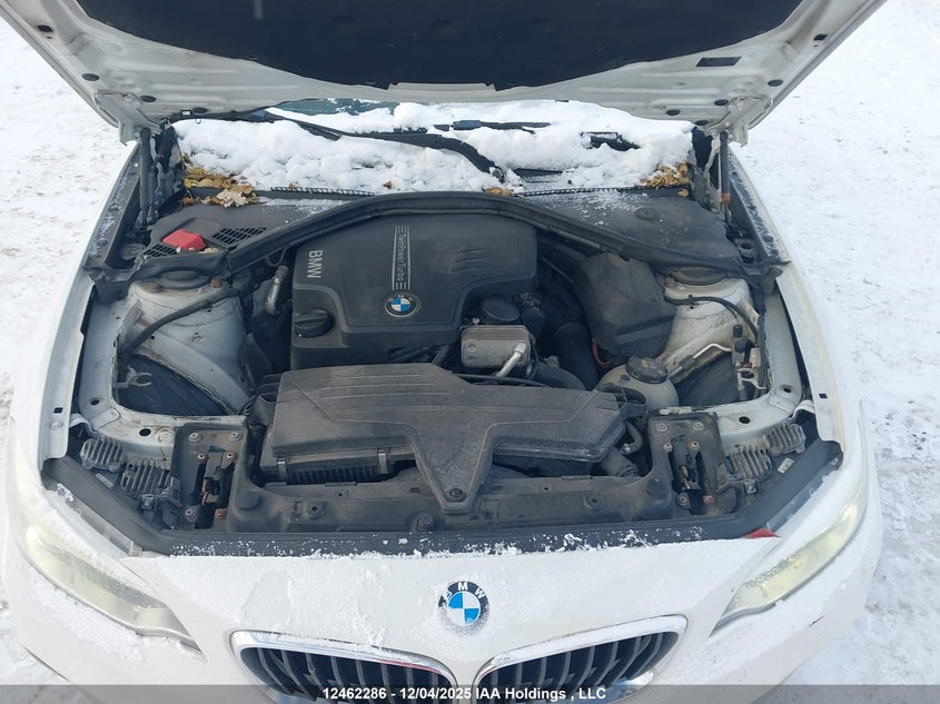 WBA1F5C51FVW98229 2015 BMW 2ER photo no. 10