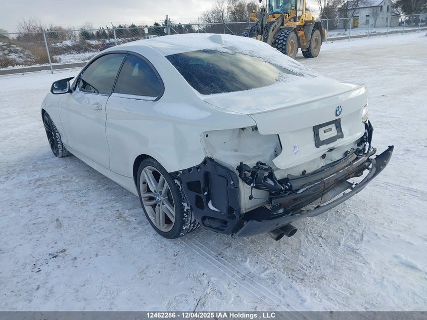 WBA1F5C51FVW98229 2015 BMW 2ER photo no. 3