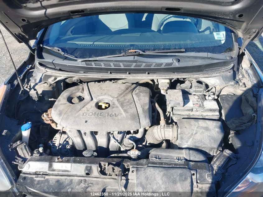 2013 Hyundai Elantra Gls/Limited VIN: 5NPDH4AE1DH308556 Lot: 12462350