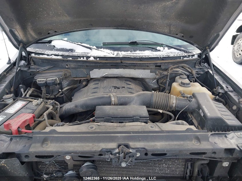 1FTFW1ET3CFB38375 2012 FORD F-150 photo no. 10