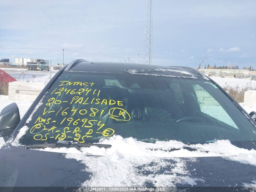 2020 Hyundai Palisade VIN: KM8R5DHE9LU164081 Lot: 12462411