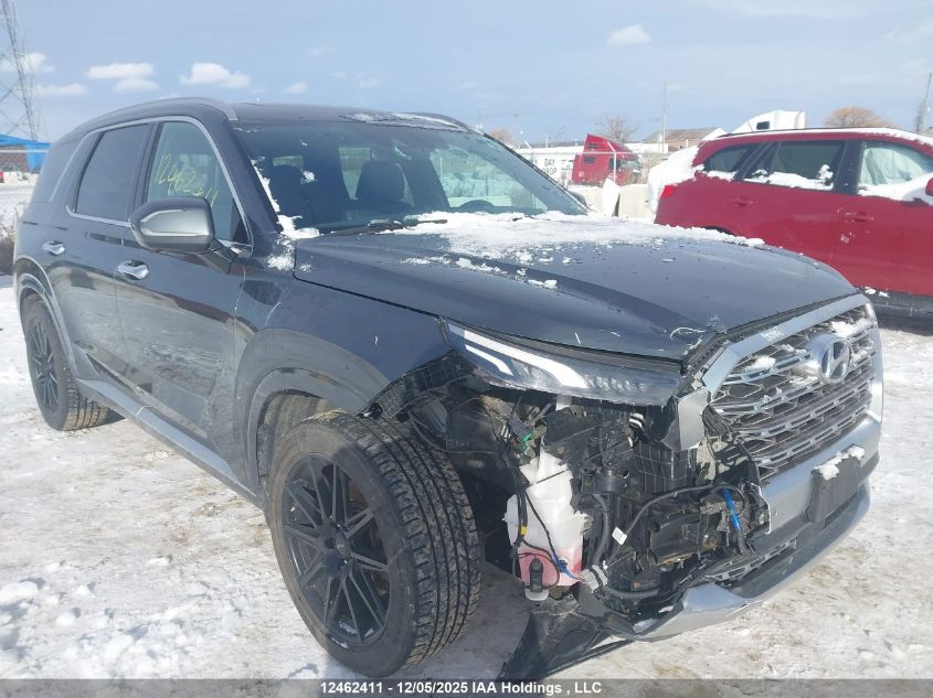 2020 Hyundai Palisade VIN: KM8R5DHE9LU164081 Lot: 12462411