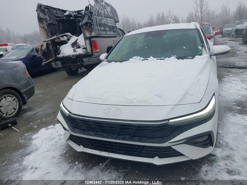KMHLM4DGXRU753309 2024 HYUNDAI ELANTRA photo no. 12