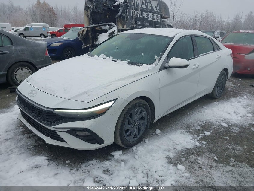 KMHLM4DGXRU753309 2024 HYUNDAI ELANTRA photo no. 2