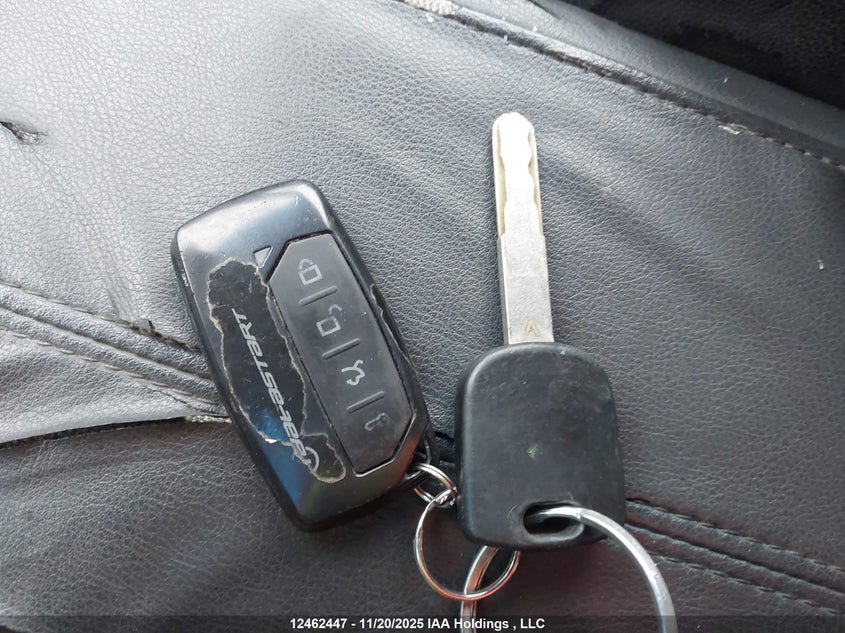 2007 Acura Rdx VIN: 5J8TB18247A803290 Lot: 12462447