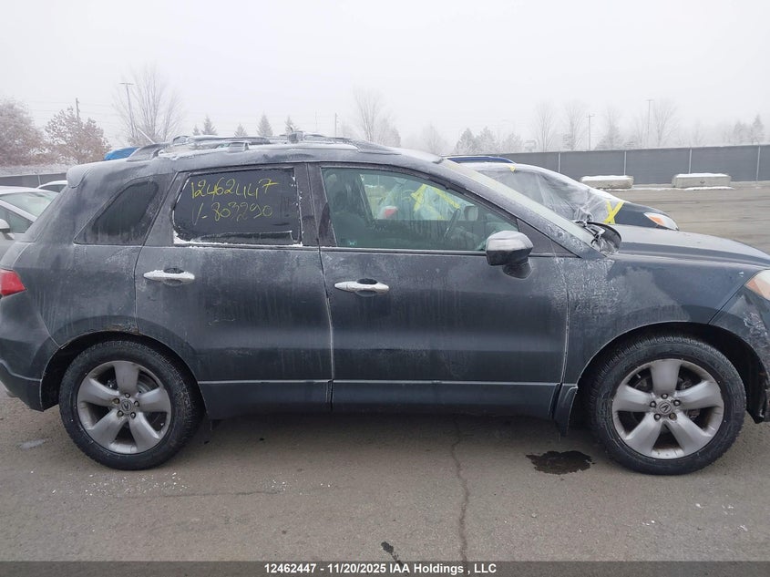 2007 Acura Rdx VIN: 5J8TB18247A803290 Lot: 12462447