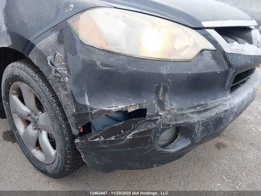 2007 Acura Rdx VIN: 5J8TB18247A803290 Lot: 12462447